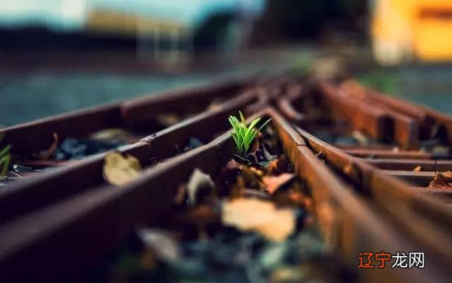 财神节是几月几号2019 财神节是几月几号-