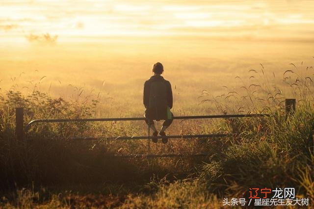 属牛射手座男人 属牛射手座男人的性格