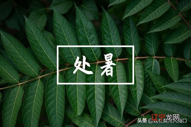 处暑是几月几号2021年-2021年处暑时间几点几分几秒