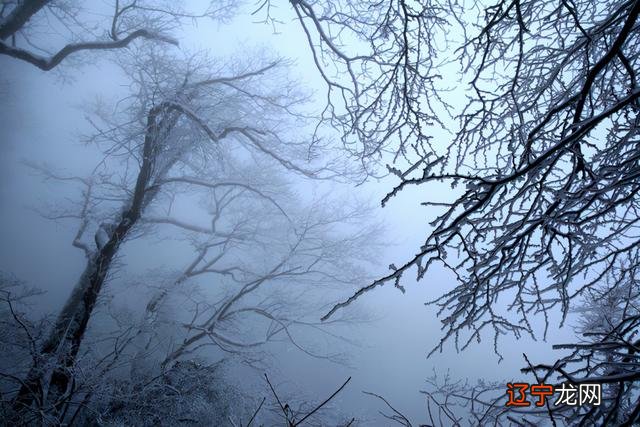 梦到自己陷入困境最后安全 梦见自己陷入困境醒了