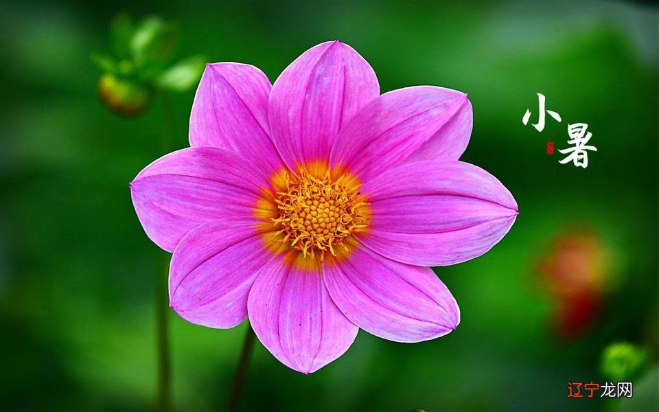 重男轻女的星座男 一个男人重男轻女的表现