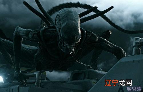 12星座电影-12星座