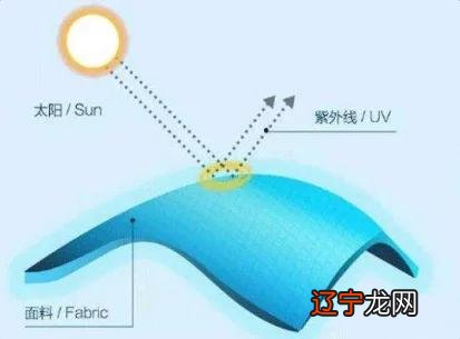 爆热天的「续命」POLO衫!冰块触感、持久劲凉,穿上爽得不想脱…