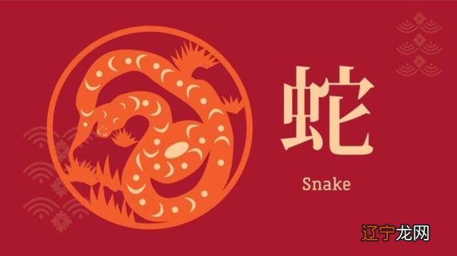 1978年属马女2021运程 属马2015年运程