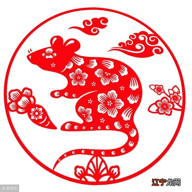 属鼠人2013年运势-72年属鼠人2021年运势