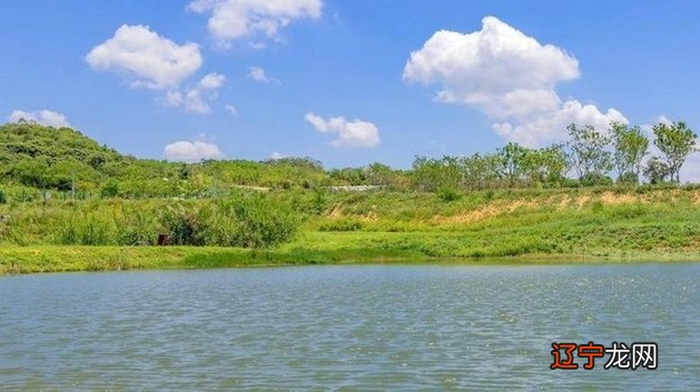 八字感情心 八字心情短语