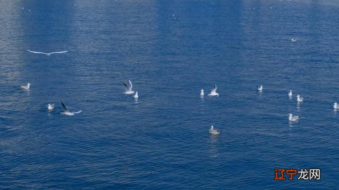 星座中的星 星座中的α βγ δ星分别指的是什么?