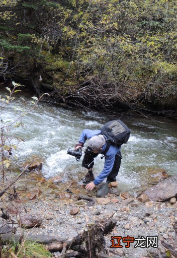 梦到掉沟里 梦见掉到沟里,是什么意思啊?