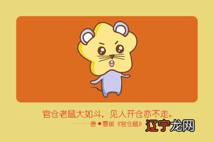 玛法达2020年生肖鼠全年运势 2020年的九星照命属鼠人？