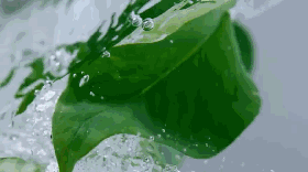 建议女人:约会时备上这几样东西,关键时刻不“掉链子”!