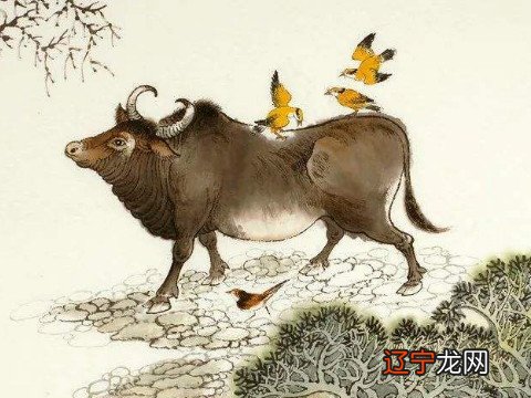 1961年属牛人2022年运势及运程 1961年属牛的人2022年吉祥物是什么