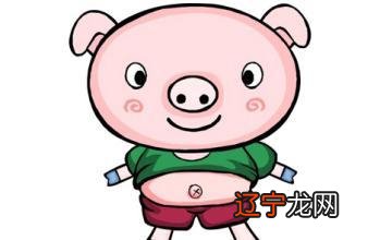 生肖猪2021年每月运势详解 属猪2021年运势及运程