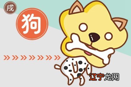 属狗和属牛的婚配好不好 配对优点和缺点