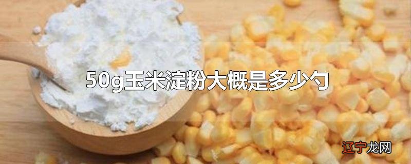 50g玉米淀粉大概是多少勺