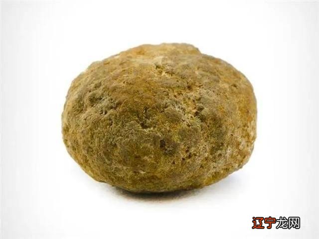 在农村，为何有人会高价收购十年以上的老土狗？收购的老狗用来干吗？