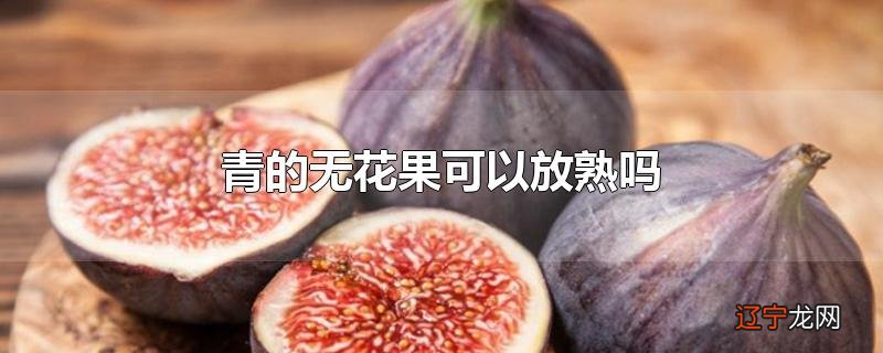 青的无花果可以放熟吗