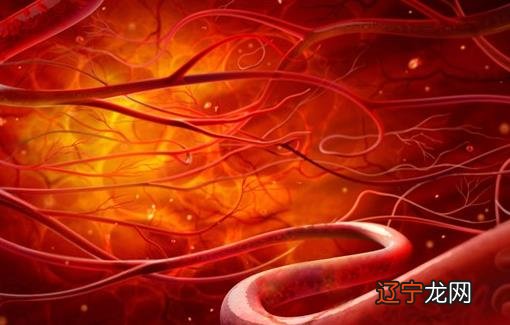 冬季血管保养,冬天血管怎么保养