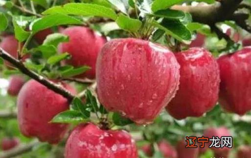 冬季血管保养,冬天血管怎么保养