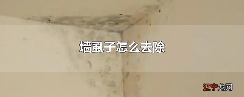 墙虱子怎么去除