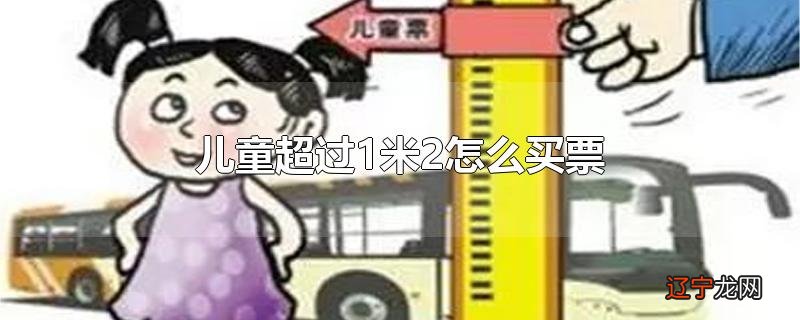 儿童超过1米2怎么买票