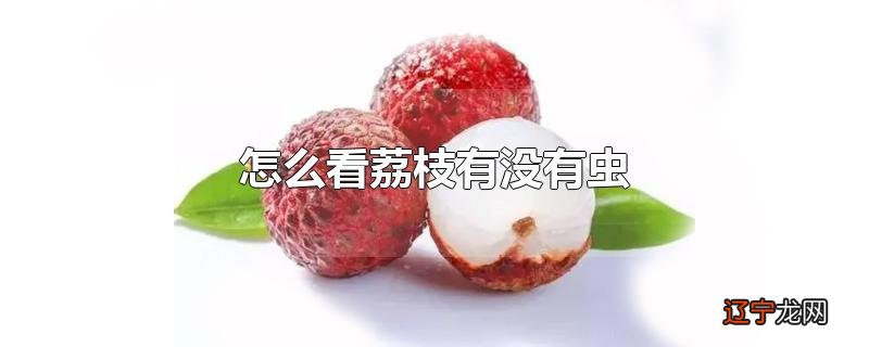 怎么看荔枝有没有虫