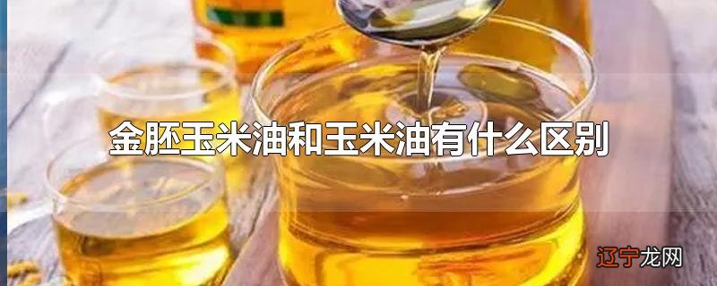 金胚玉米油和玉米油有什么区别