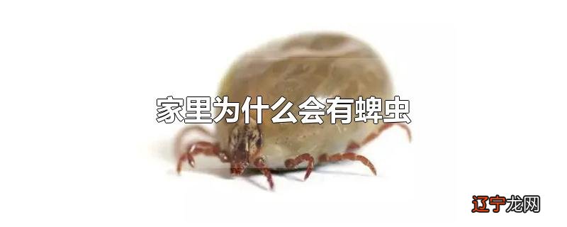 家里为什么会有蜱虫