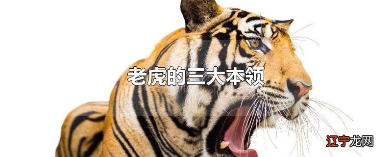 老虎的三大本领