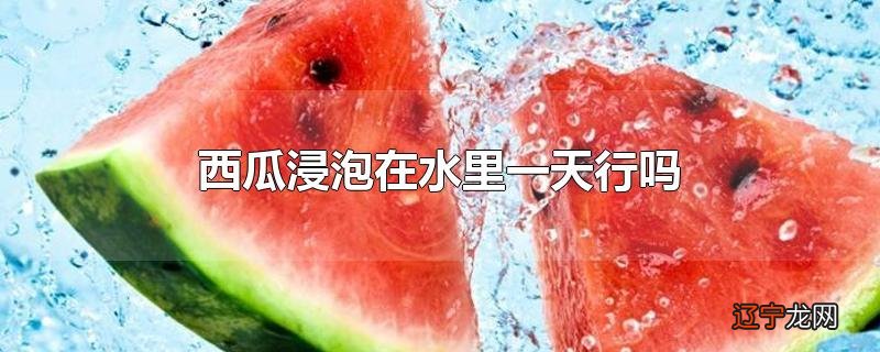 西瓜浸泡在水里一天行吗