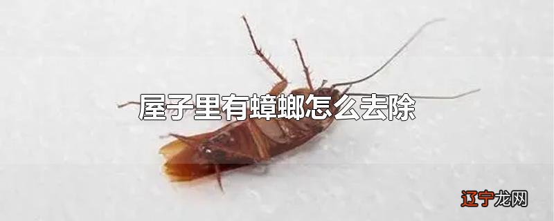 屋子里有蟑螂怎么去除