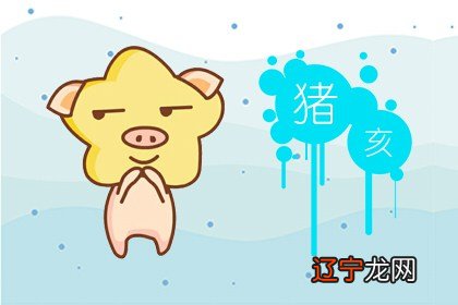 本命年猪的运势怎么样 运势发展好吗