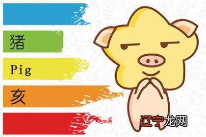 本命年猪的运势怎么样 运势发展好吗