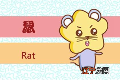 2021年小寒出生的鼠宝宝名字 属鼠宝宝吉祥名字