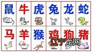 你可能搞错了你的生肖属相