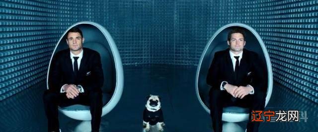 《黑衣人》影评：黑衣人追踪入侵虫族，上演猫捉鼠搞笑一幕