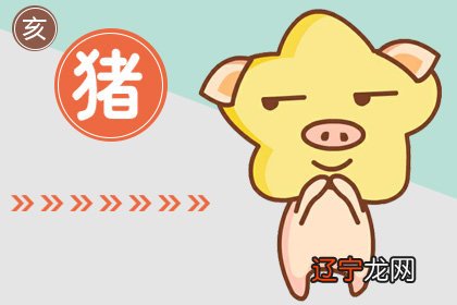 1995年属猪五行缺什么 属猪运势