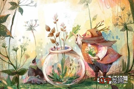 古风雅致的名字女 女孩起名古风好听的名字