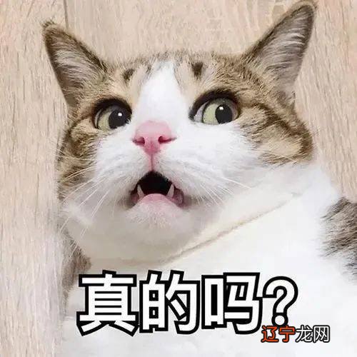 男版樊胜美朴秀洪:金钱是原罪,不准家丑外扬!