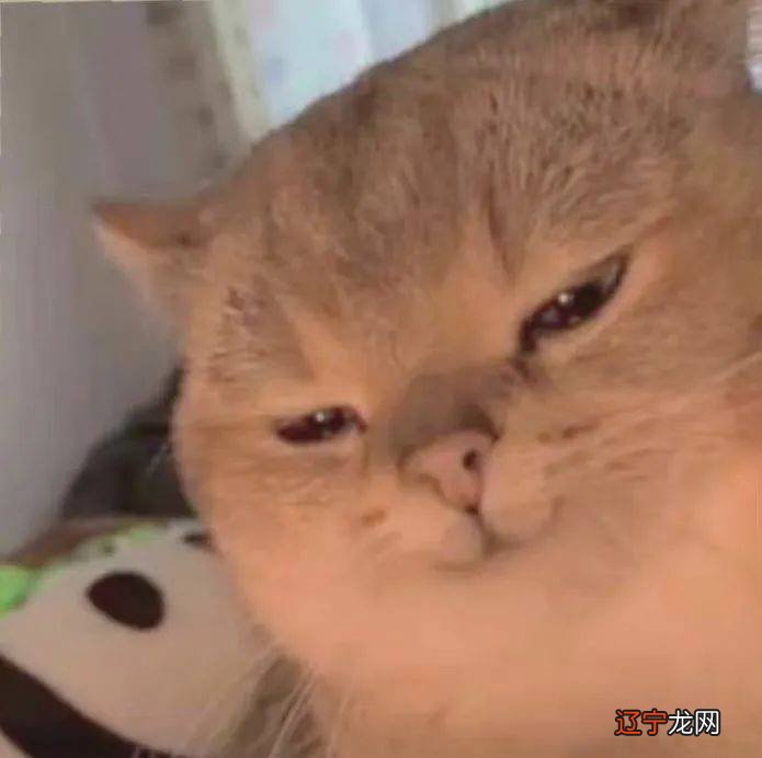 美女们,别再被错误的妆造风格耽误颜值啦!