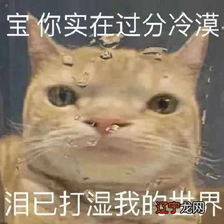 好看皮囊千千万,看看哪个最有趣?