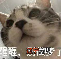 大龄未育,面试时直接带了老公的不育证明,这明明是苦啊