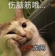 大龄未育,面试时直接带了老公的不育证明,这明明是苦啊