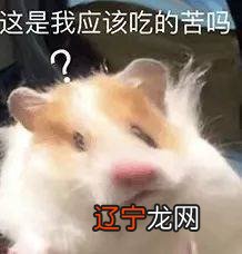 大龄未育,面试时直接带了老公的不育证明,这明明是苦啊