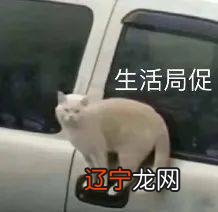 大龄未育,面试时直接带了老公的不育证明,这明明是苦啊