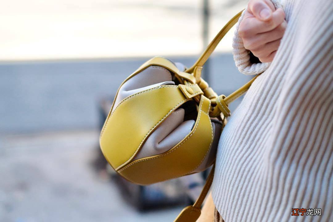 BV，LV是绩效不达标吗？新包也太好看了，钱包是捂不住了！