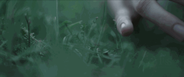 6款适合春夏的精致香水，拯救你干涸已久的少女心！