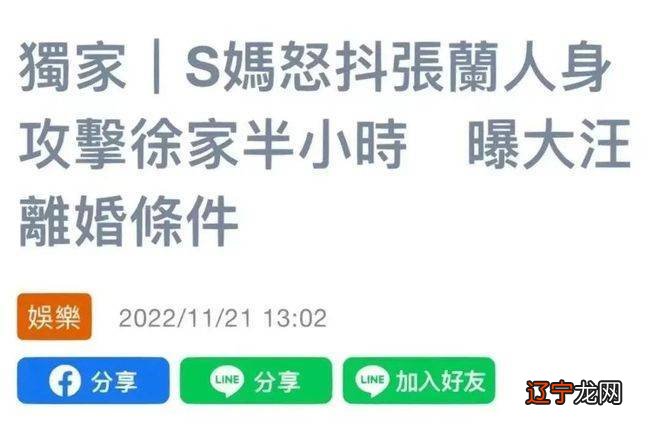 1个大S和100个汪小菲，徐妈妈是如何构建宝岛第一的？