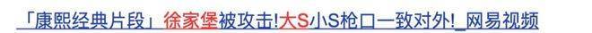 1个大S和100个汪小菲，徐妈妈是如何构建宝岛第一的？