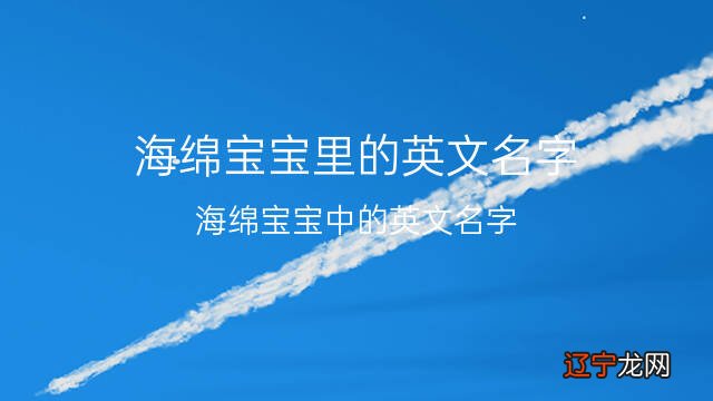 海绵宝宝中的英文名字 海绵宝宝里的英文名字 54个
