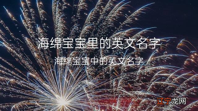 海绵宝宝中的英文名字 海绵宝宝里的英文名字 54个